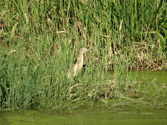 Bakau's Botanical Gardens